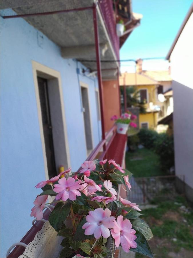 Holiday home La Celestina *
